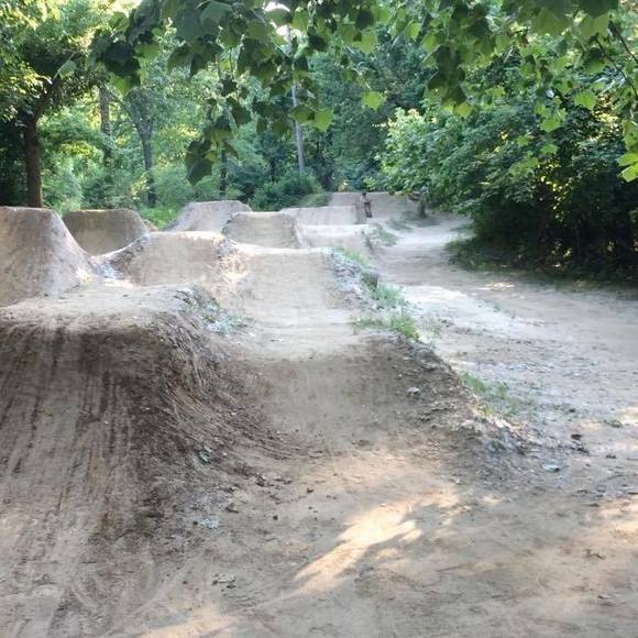 Meet your Posher, Blake - Picture 1 of 1